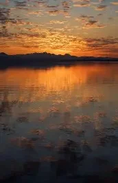 Virtual Reality and the Future of Entertainment